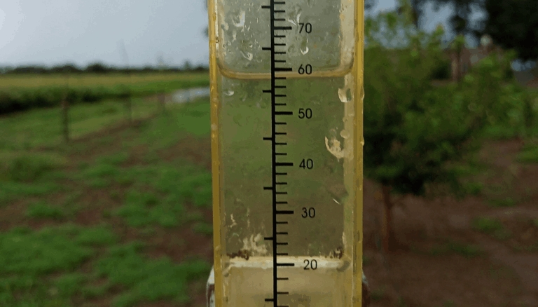 Acumulados de lluvia correspondientes al sábado 28 de marzo